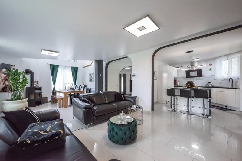 Elegance, light, and high-quality living with style and tranquility. (9)