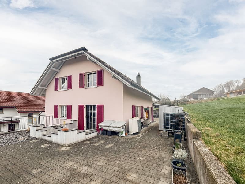Spacious 6.5-room single-family house with fireplace in top location (31)