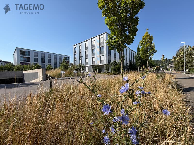 Plus qu'un appartement d'attique ordinaire – avec loggia aménagée de haute qualité et extras précieux. (1)