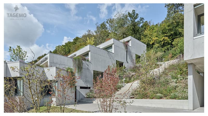 exklusive 5.5 Zimmer Wohnung in moderner Sichtbeton-Architektur – letzte Etappe (3)