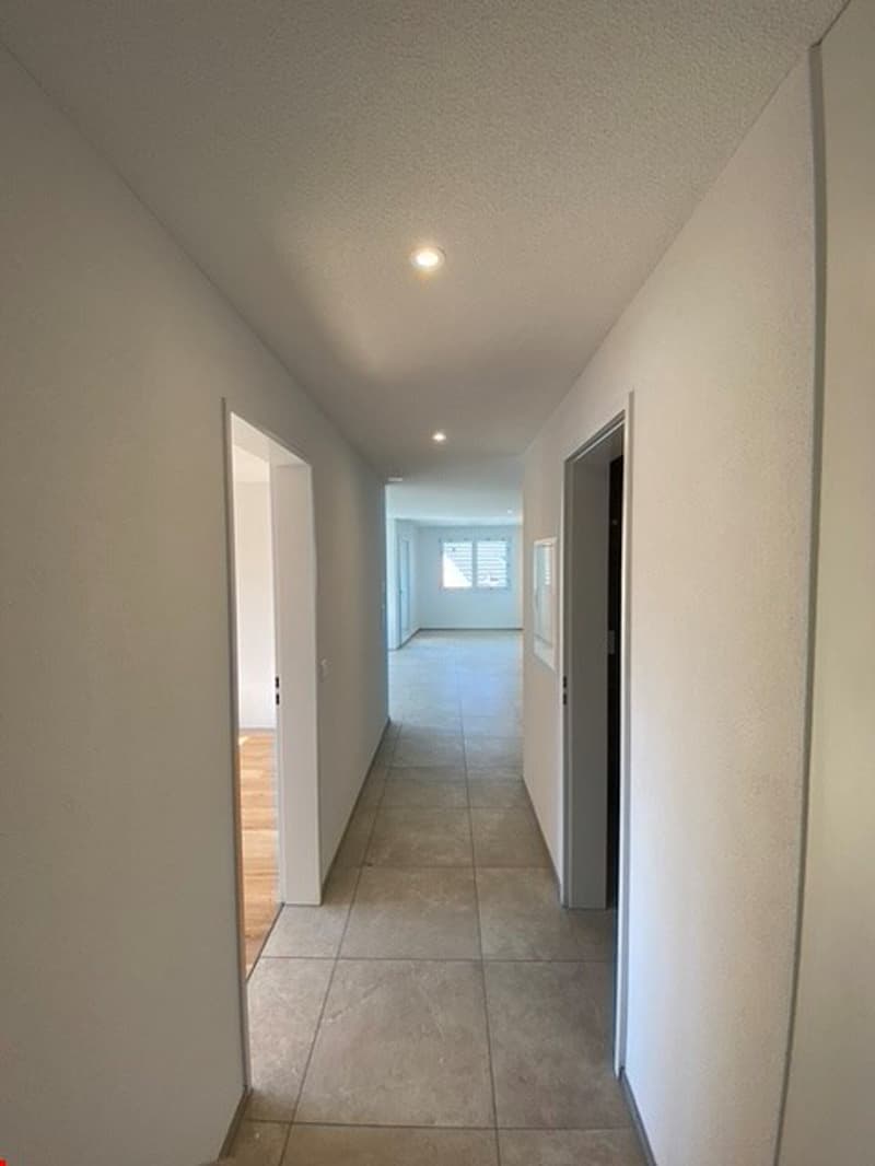 Moderne und Luxuriöse Erdgeschosswohnung mit eigenem Gartenanteil (8)