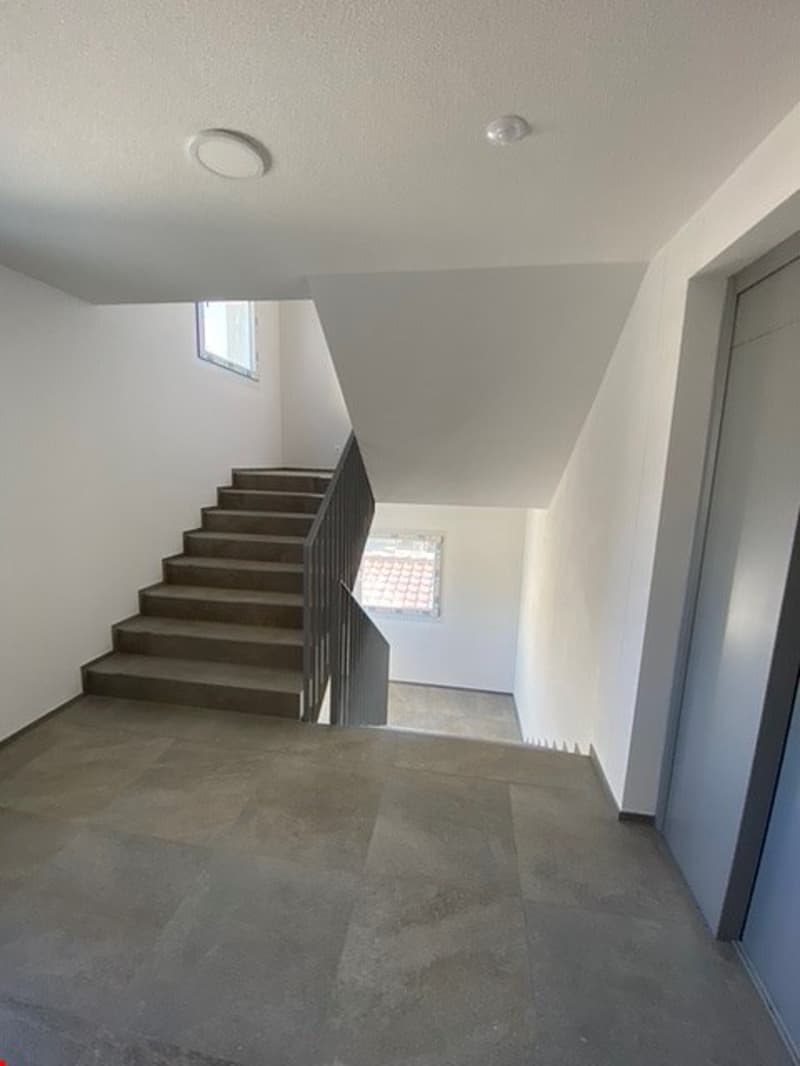 Moderne und Luxuriöse Erdgeschosswohnung mit eigenem Gartenanteil (10)