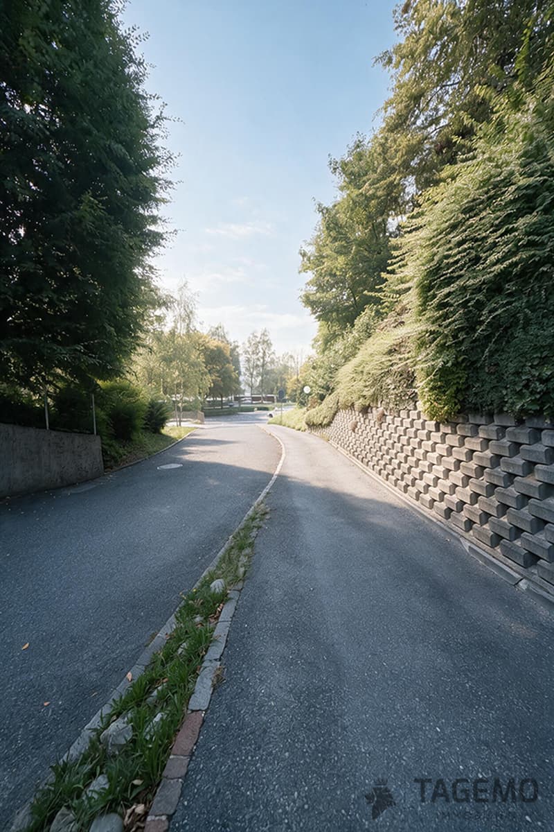 Zwei Gehminuten zum See. 100 m² Terrasse. Ein Freiraum, den man in Luzern nur selten findet. (18)