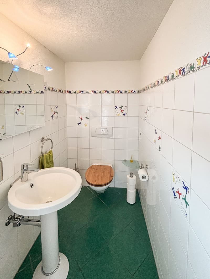 6.5-Zimmer-Einfamilienhaus mit viel Platz und Weitsicht (9)