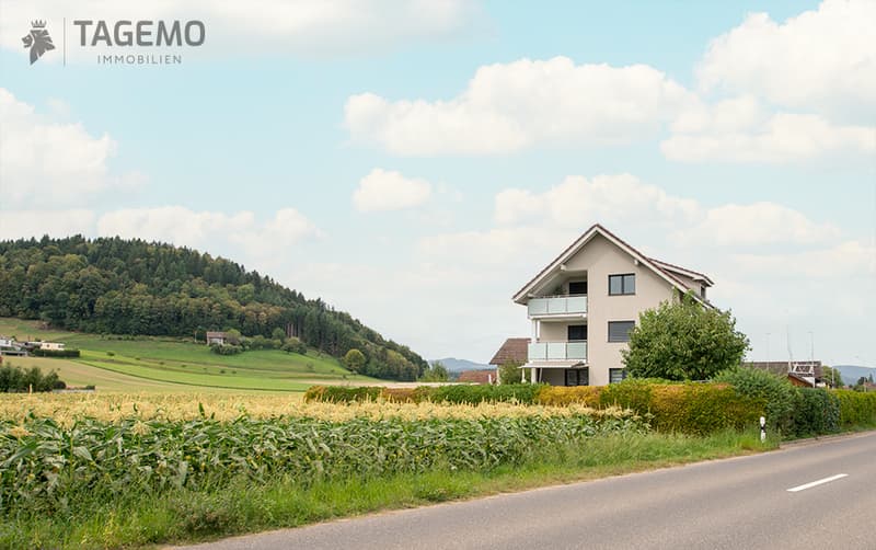 Zwei Wohnungen. Ein Haus. Viele Möglichkeiten für eine Investition. (20)