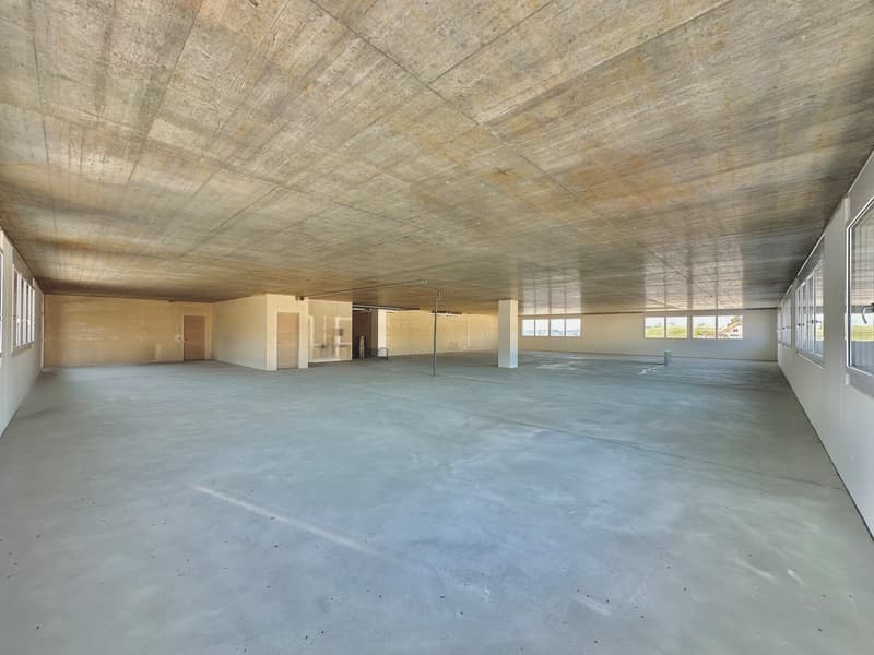 Exklusive Bürofläche im Gewerbepark Pfaffnau – 504 m² (5)
