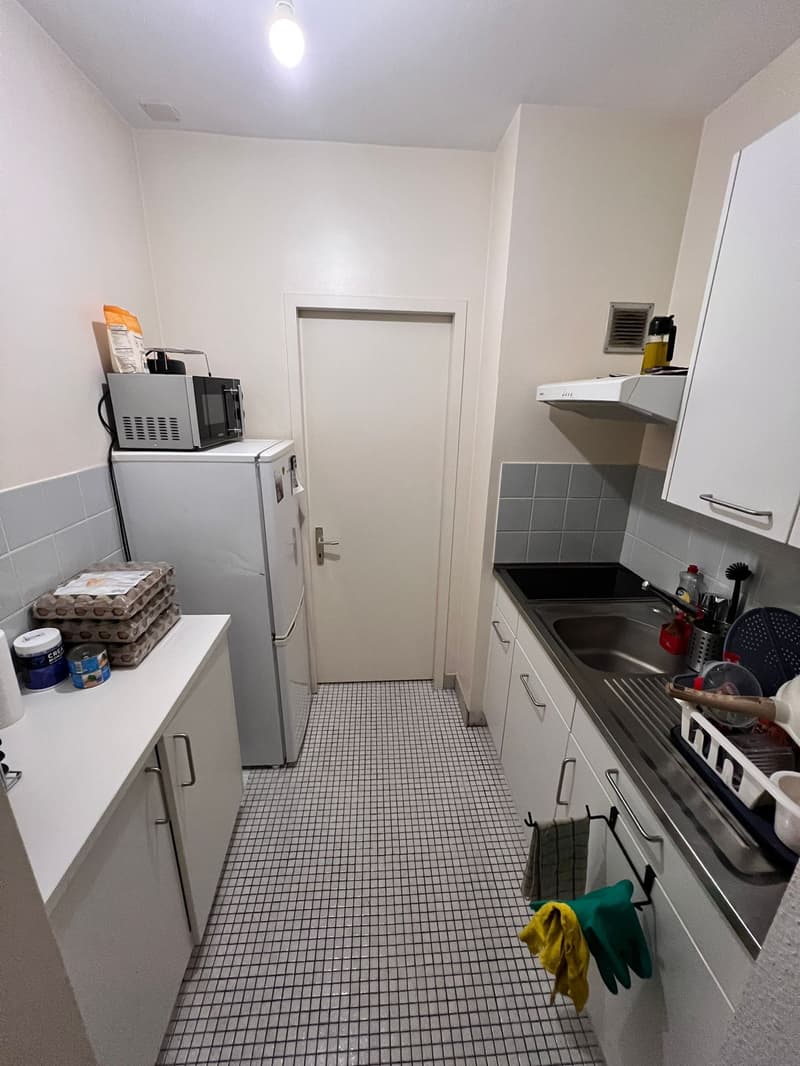 Charmanter 2-Zimmer-Apartment mit Balkon in Genf (6)
