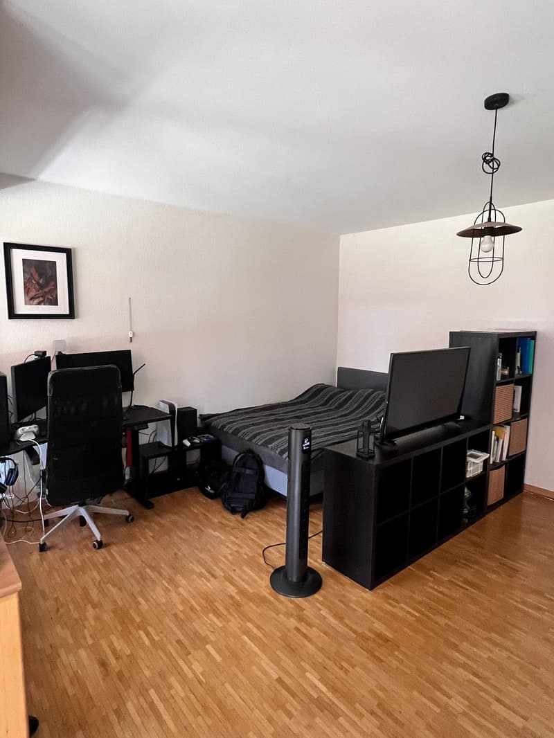 Charmanter 2-Zimmer-Apartment mit Balkon in Genf (8)