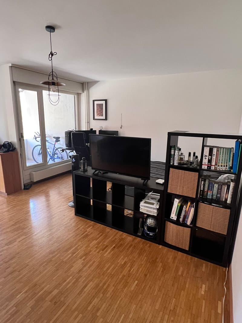 Charmanter 2-Zimmer-Apartment mit Balkon in Genf (7)