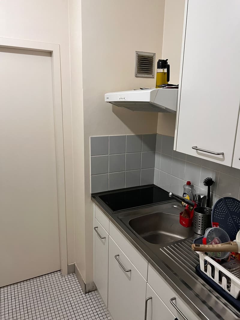 Charmanter 2-Zimmer-Apartment mit Balkon in Genf (5)