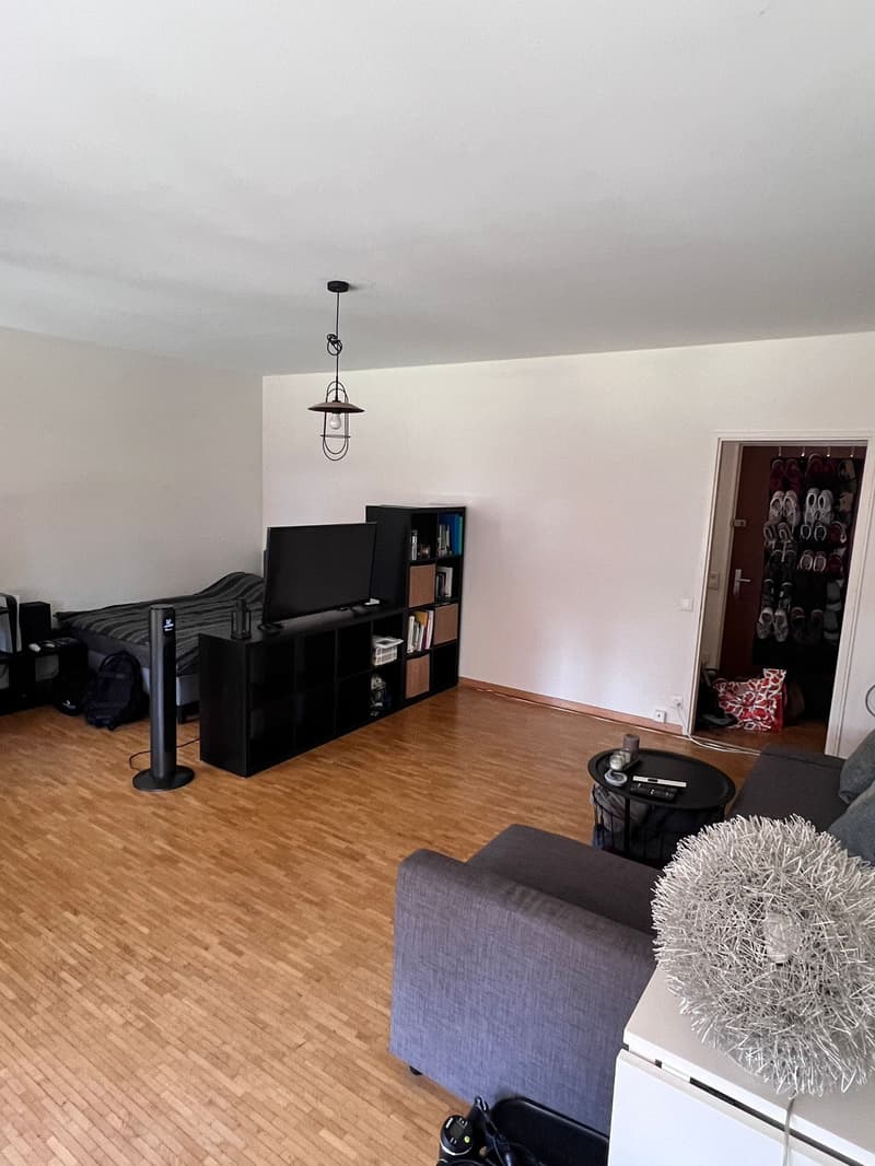 Charmanter 2-Zimmer-Apartment mit Balkon in Genf (3)