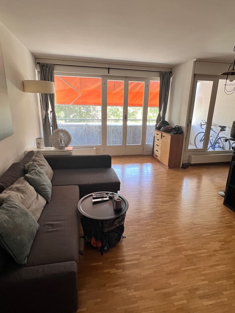 Charmanter 2-Zimmer-Apartment mit Balkon in Genf (2)