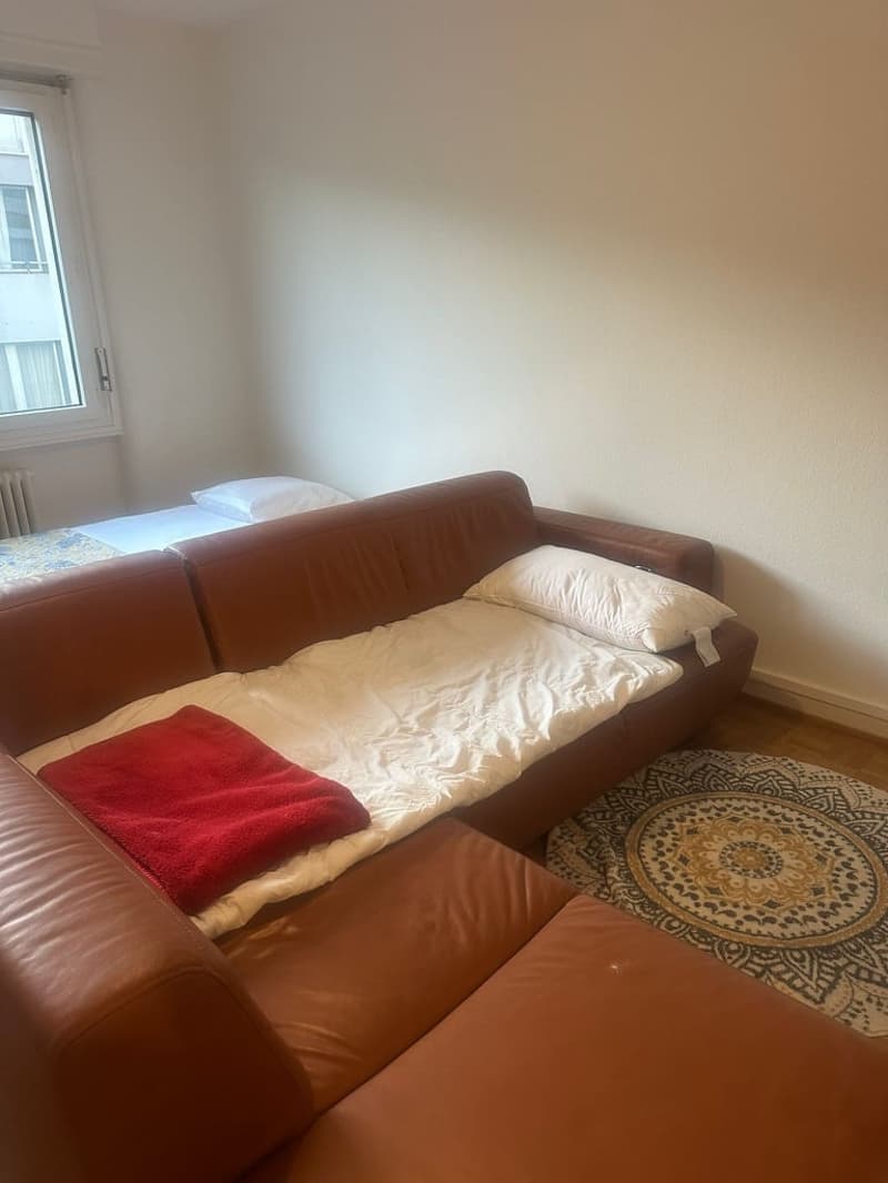 Sous-location appart 3p proche gare, ong et lac (3)