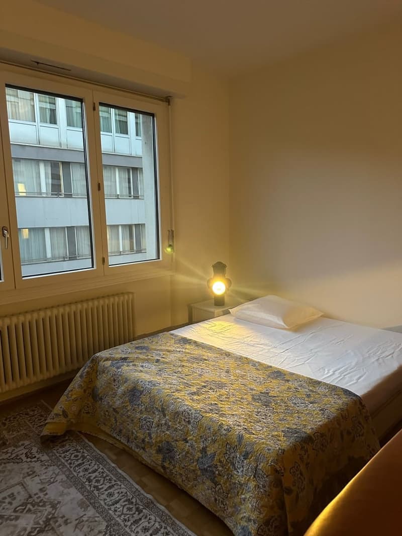 Sous-location appart 3p proche gare, ong et lac (11)