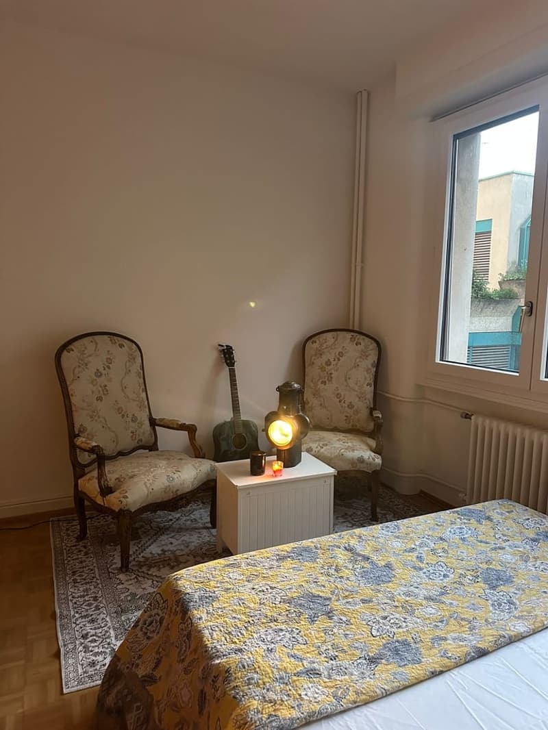 Sous-location appart 3p proche gare, ong et lac (6)