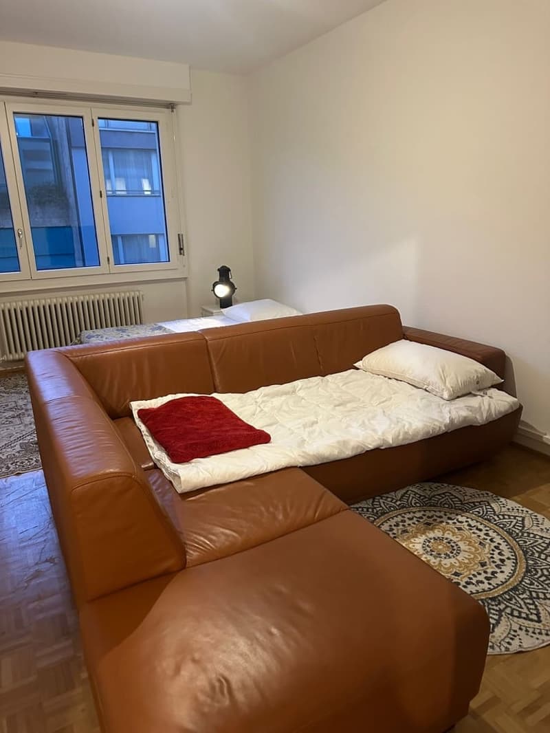 Sous-location appart 3p proche gare, ong et lac (2)