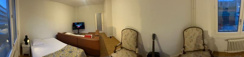 Sous-location appart 3p proche gare, ong et lac (8)