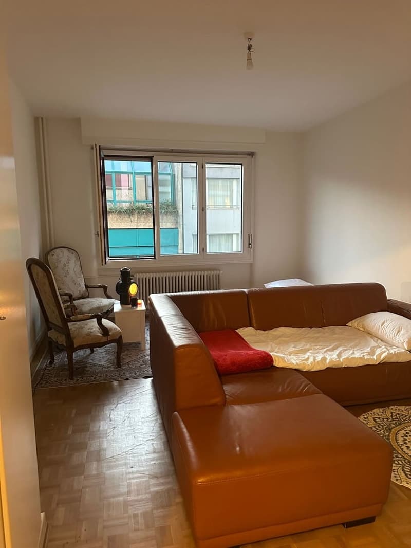 Sous-location appart 3p proche gare, ong et lac (4)