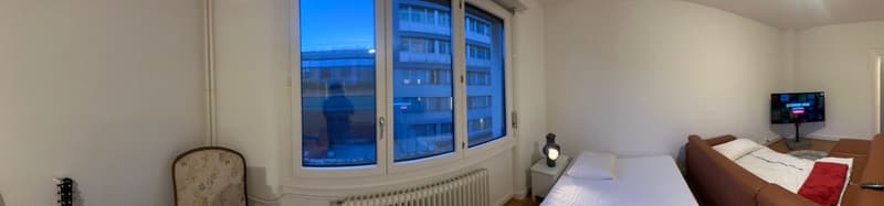 Sous-location appart 3p proche gare, ong et lac (9)
