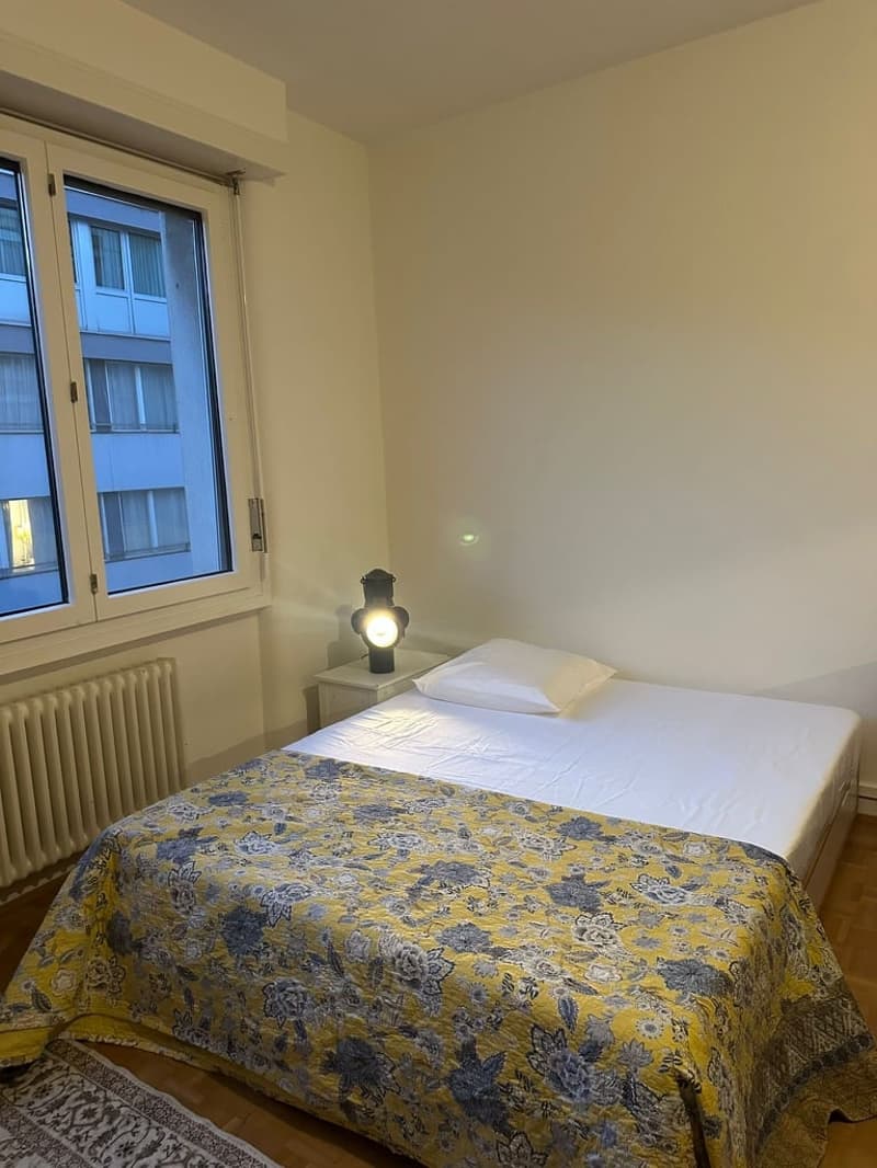 Sous-location appart 3p proche gare, ong et lac (10)