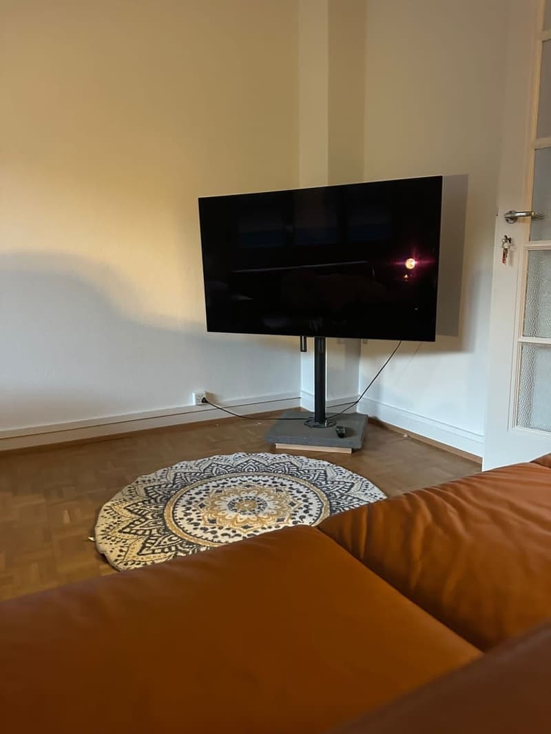 Sous-location appart 3p proche gare, ong et lac (1)