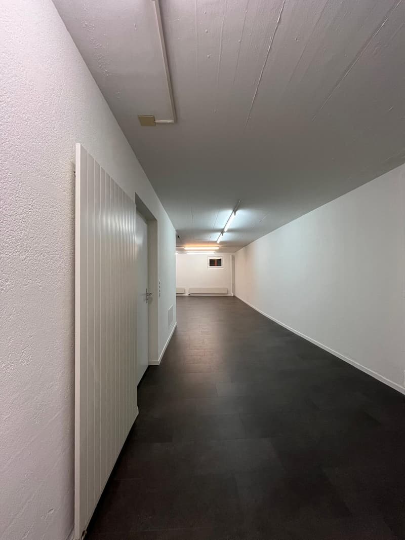 Long, narrow hallway with white walls, a dark hardwood floor, and a white paneled door on the left side. The ceiling appears to be painted a light color.