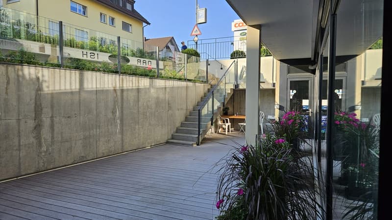 Stairs leading down to a wooden deck, flowers, metal railing