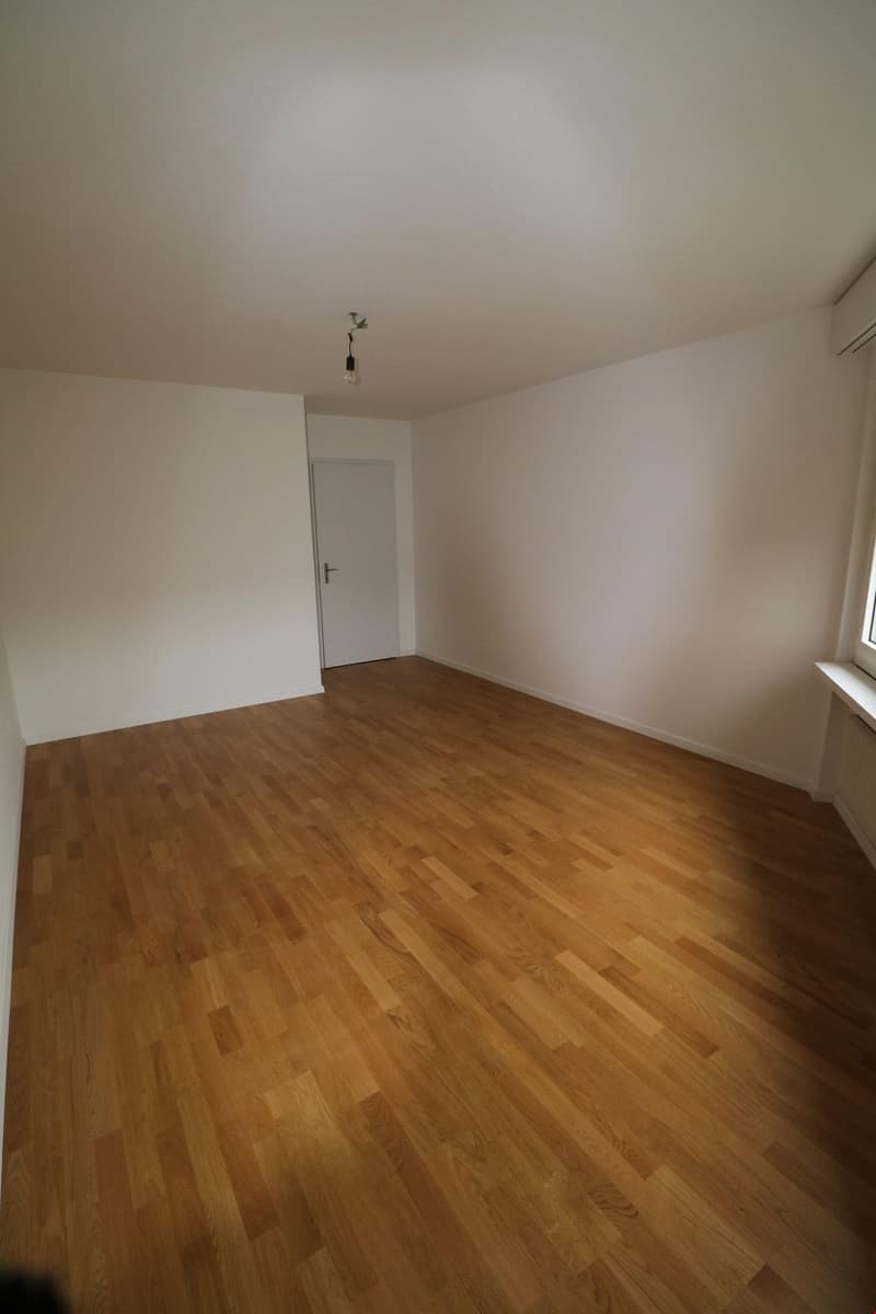 empty room, wooden floor, white walls, white door, window, ceiling light
