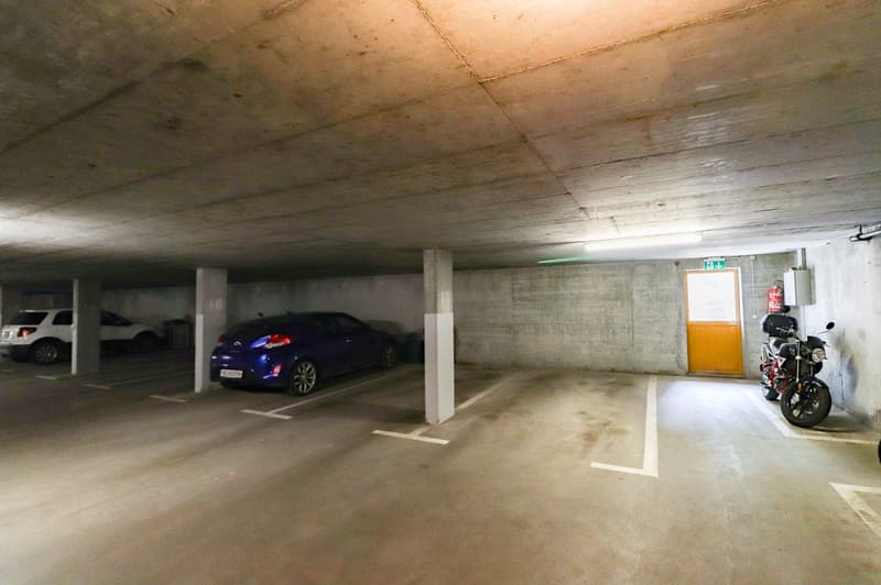 Freshly renovated 4.5-room apartment with parking space, hobby room, and basement compartment (20)