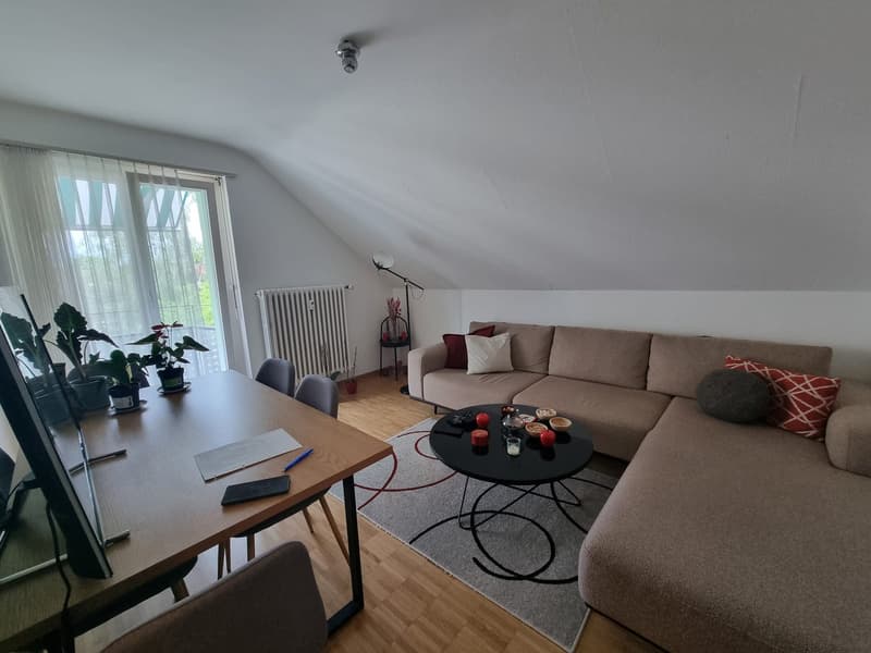 3-ZWG zu vermieten (4)