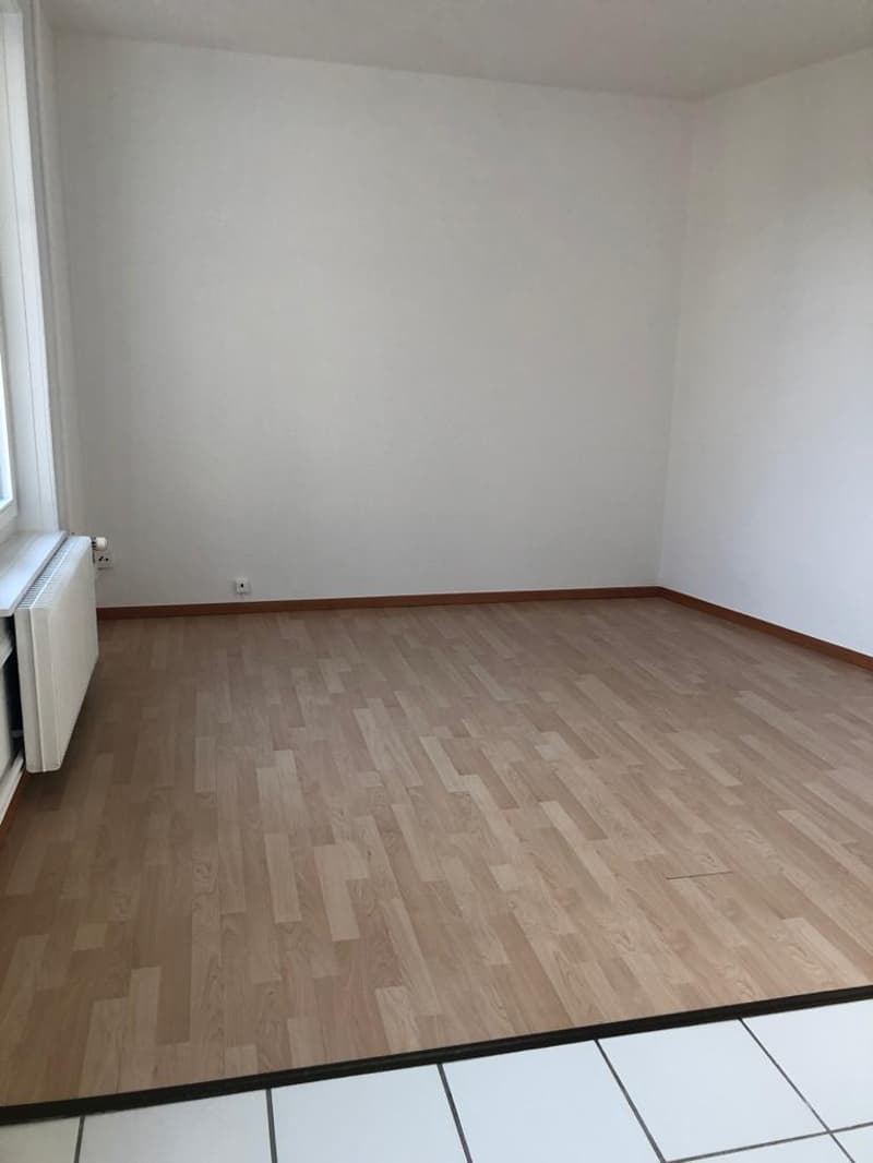 Appartamento monolocale nel quartiere di Mattenhof (5)