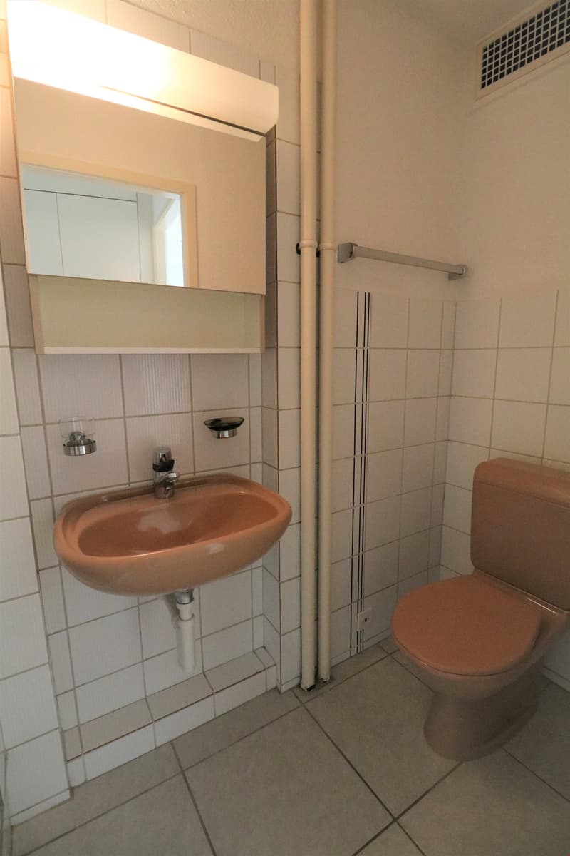 Appartamento monolocale nel quartiere di Mattenhof (7)