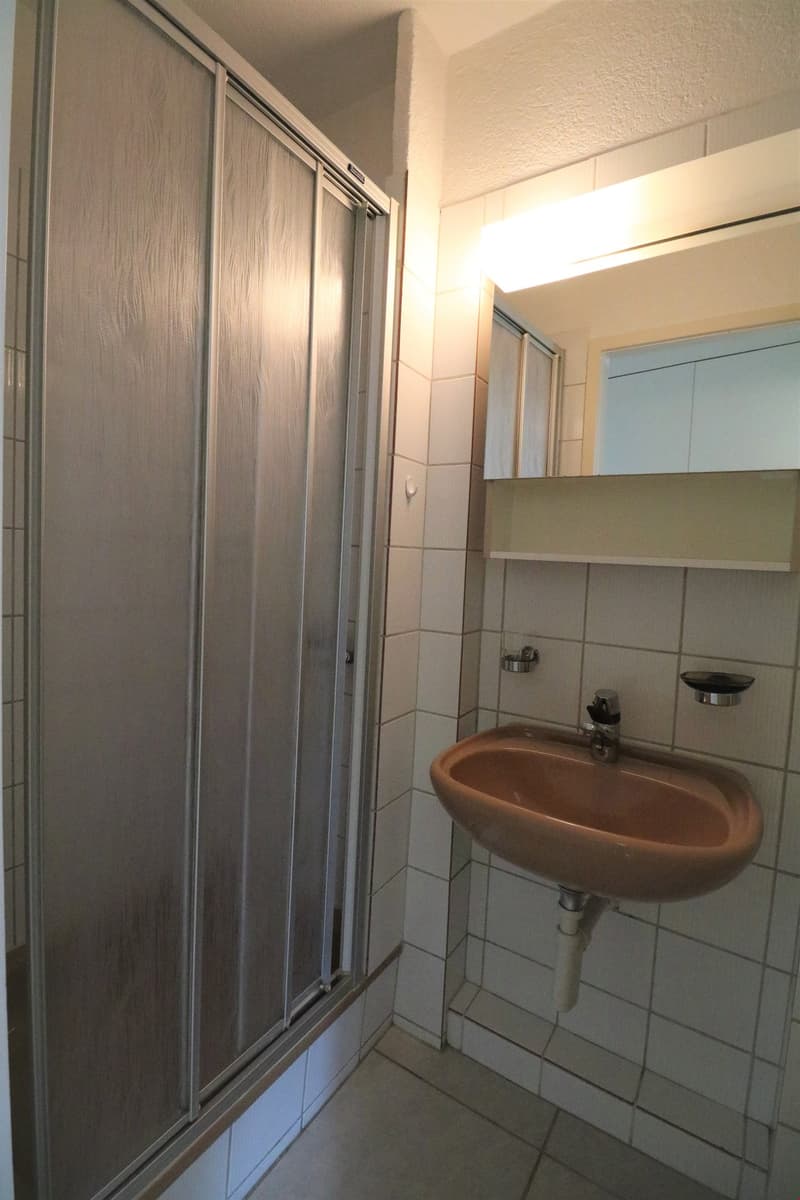 Appartamento monolocale nel quartiere di Mattenhof (8)