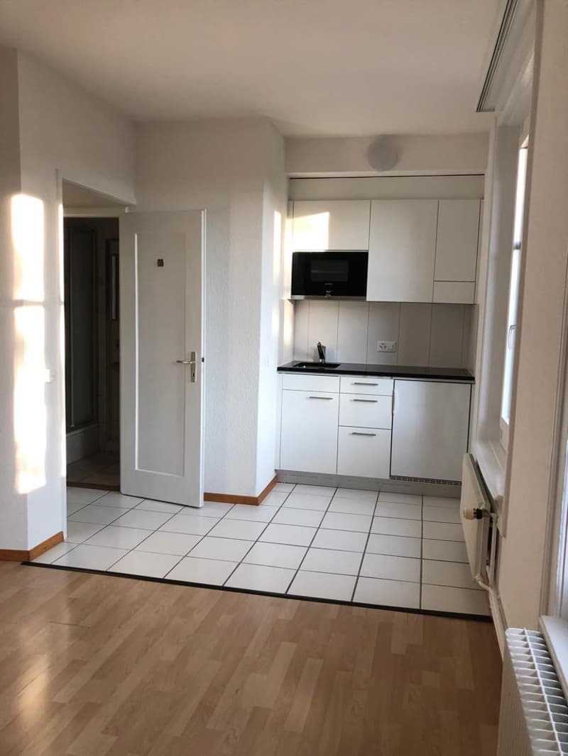 Appartamento monolocale nel quartiere di Mattenhof (3)