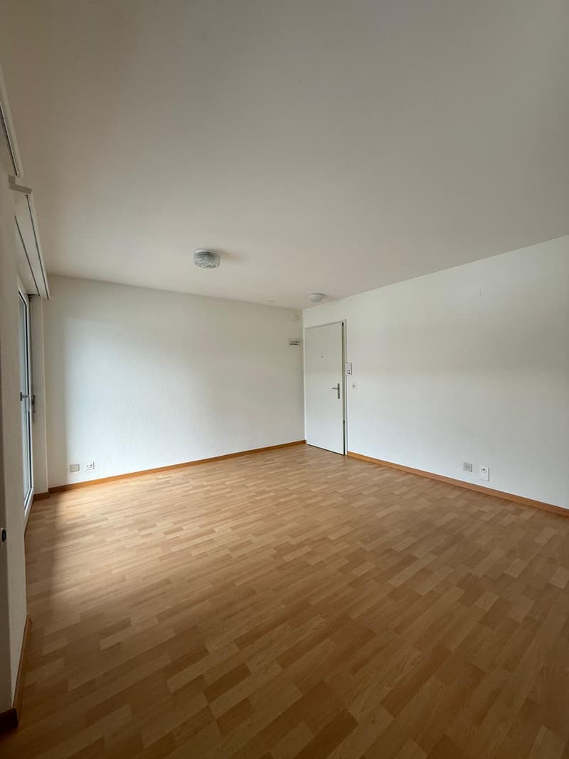 Appartamento monolocale in affitto a Kirchenthurnen (4)
