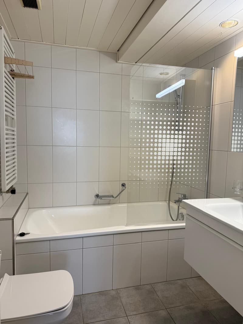 Appartamento 3.5 locali molto centrale! (3)