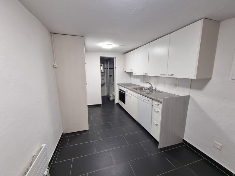 Appartamento 2 locali in Hofstettenstrasse (3)