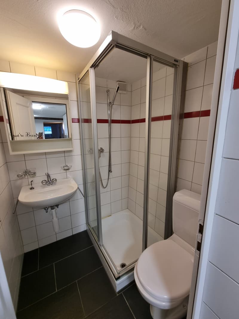 Appartamento 2 locali in Hofstettenstrasse (4)