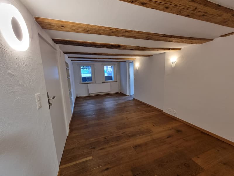 Appartamento 2 locali in Hofstettenstrasse (5)