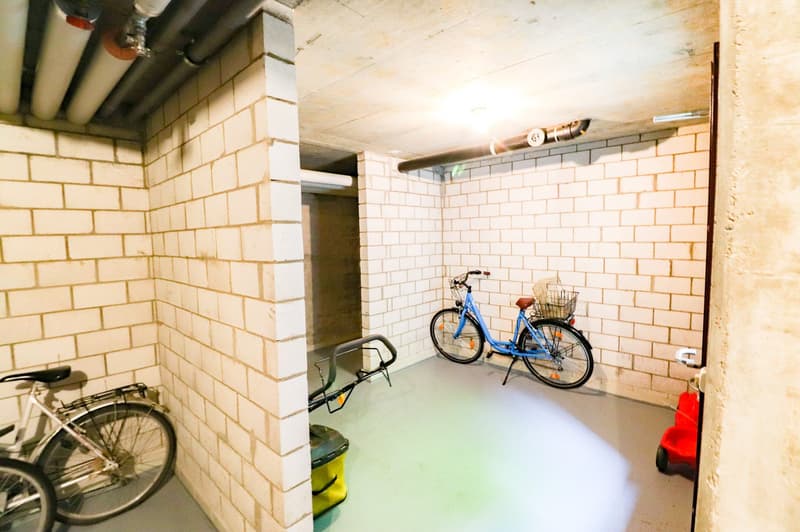 Frisch sanierte 4.5 -Zimmer-Wohnung mit Einstellhallenplatz, Bastelraum- und Kellerabteil (19)