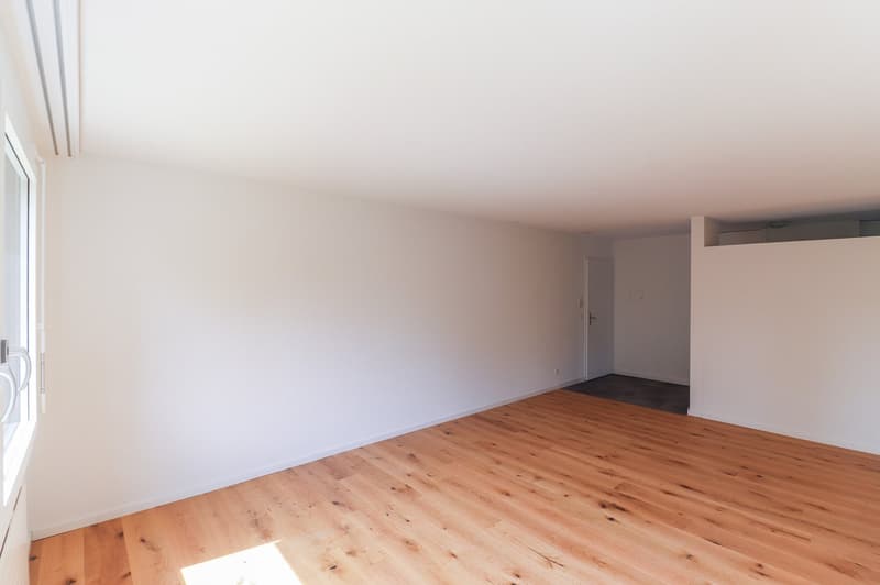 Frisch sanierte 4.5 -Zimmer-Wohnung mit Einstellhallenplatz, Bastelraum- und Kellerabteil (5)
