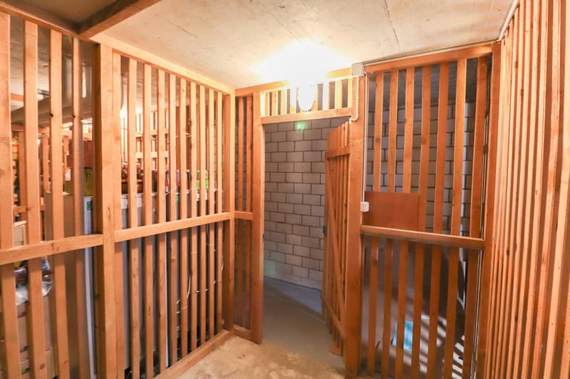 Frisch sanierte 4.5 -Zimmer-Wohnung mit Einstellhallenplatz, Bastelraum- und Kellerabteil (16)