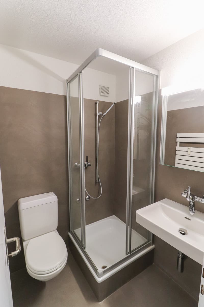 Frisch sanierte 4.5 -Zimmer-Wohnung mit Einstellhallenplatz, Bastelraum- und Kellerabteil (8)