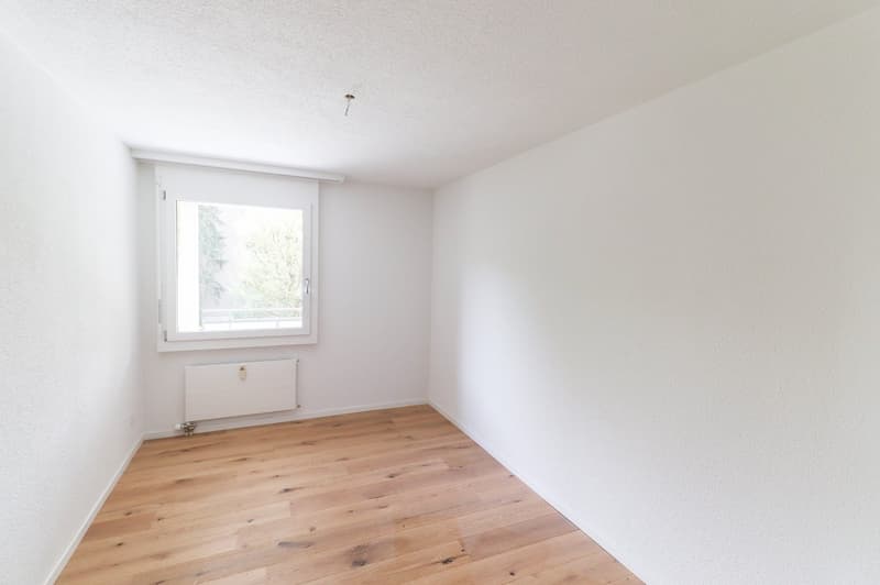 Frisch sanierte 4.5 -Zimmer-Wohnung mit Einstellhallenplatz, Bastelraum- und Kellerabteil (12)