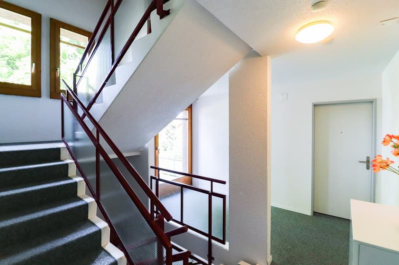 Frisch sanierte 4.5 -Zimmer-Wohnung mit Einstellhallenplatz, Bastelraum- und Kellerabteil (21)