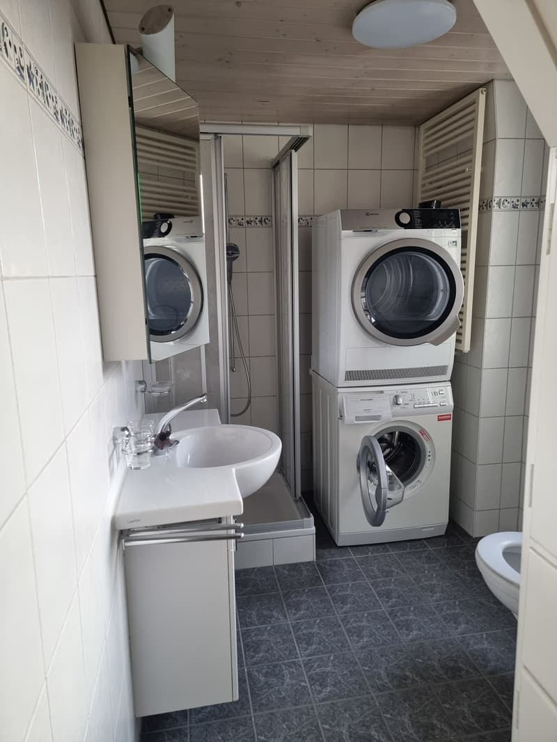 Schöne 4-Zimmerwohnung in Spiez (8)