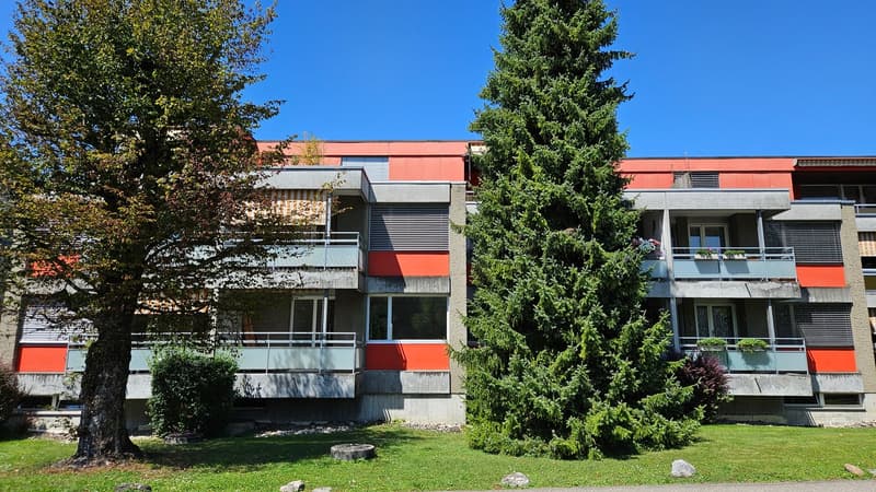 Total sanierte und charmante 3.5-Zimmerwohnung zu vermieten (1)