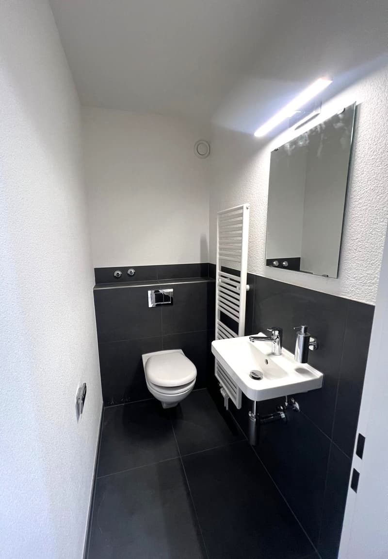3.5-Zimmer-Attikawohnung mit grosser Terrasse zum Verweilen (6)