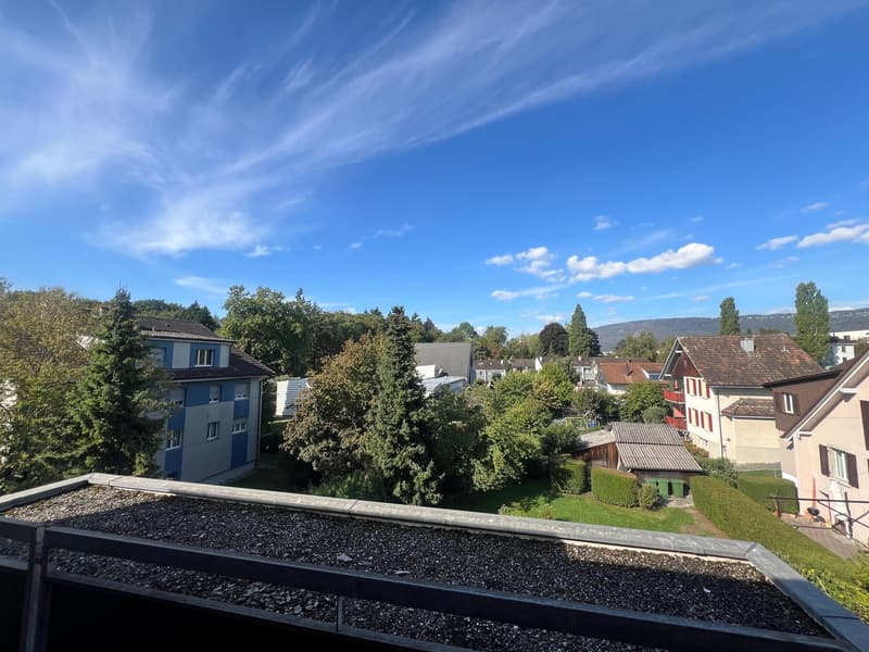 3.5-Zimmer-Attikawohnung mit grosser Terrasse zum Verweilen (1)