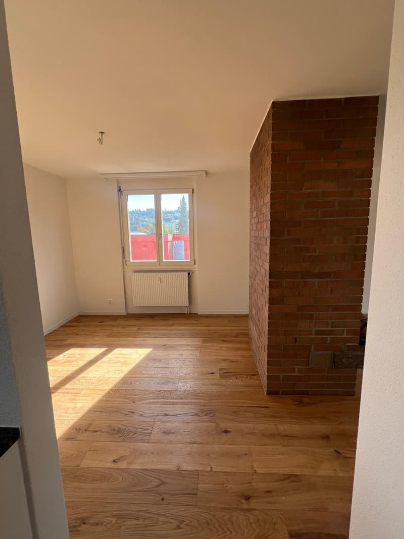 3.5-Zimmer-Attikawohnung mit grosser Terrasse zum Verweilen (9)